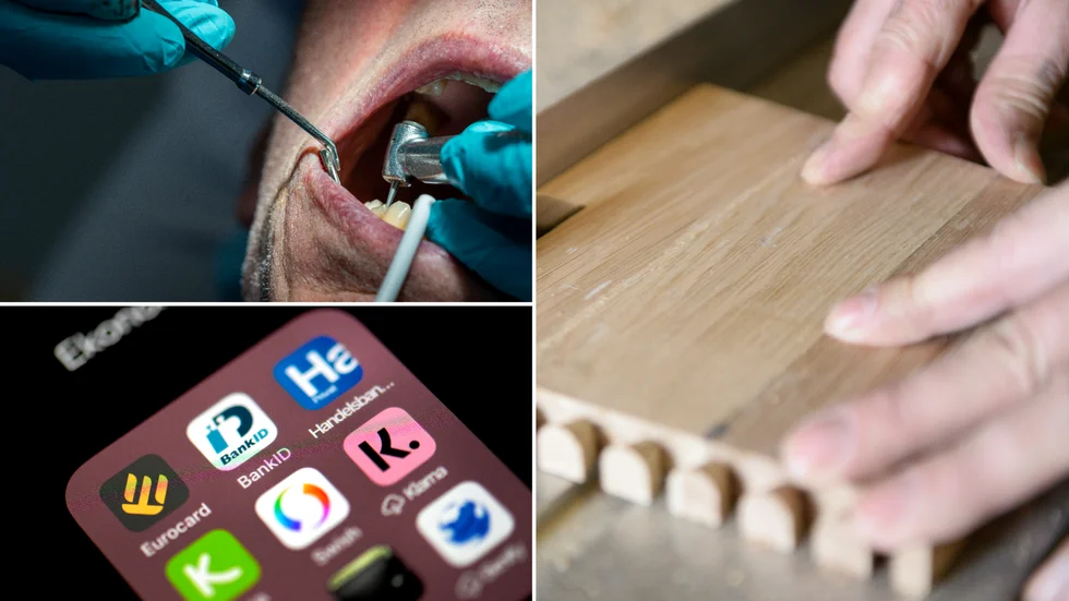 Tandvård, design och programmering av appar samt snickeri. Det är några områden som nystartade bolag ska verka inom.