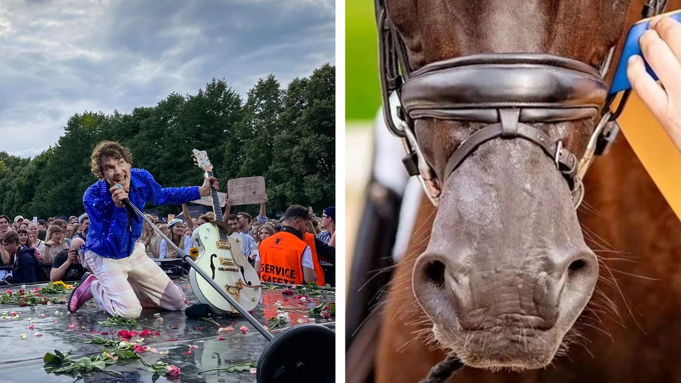 Exempel från förra veckans mest lästa publiceringar. Håkan Hellströms konsert på Stångebro och bilden som fick stor spridning i ridsport-Sverige som visar en häst vars mule är kraftigt ihoptryckt. 