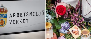 Bristerna inte åtgärdade – nu krävs företaget på pengar