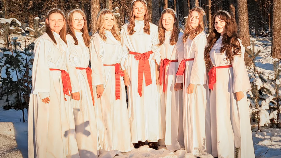 Årets lucior är, från vänster, Melina Dahnelius, Siri Nilsson, Thyra Israelsson, Milla Holmström, Klara Hellgren, Lilly Lundberg, Emelina Gjoliku Laisfeldt. Emelina Gjoliku Laisfeldt kommer inte att ställa upp i tävlingen då hon var lucia i fjol.