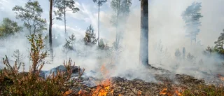 Markbränning nära Öster Malma vållar kraftig rök