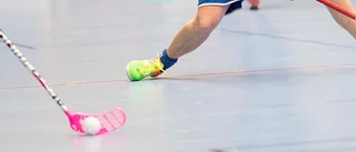 Ingen överprövning av planerat sporthallsbygge