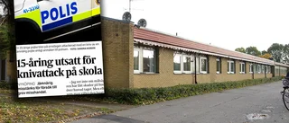 Knivskärningen på Tessin – så lyder domen i hovrätten
