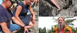 Fossiler stals vid badplats – knackades bort under natten • ”Det känns så vanvördigt”