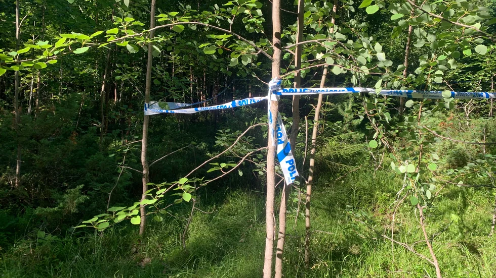 De misstänkta brotten inträffade i torsdags förra veckan.