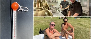 Så tacklade Uppsala värmeböljan • Hettan slår i taket – med 63 (!) grader 