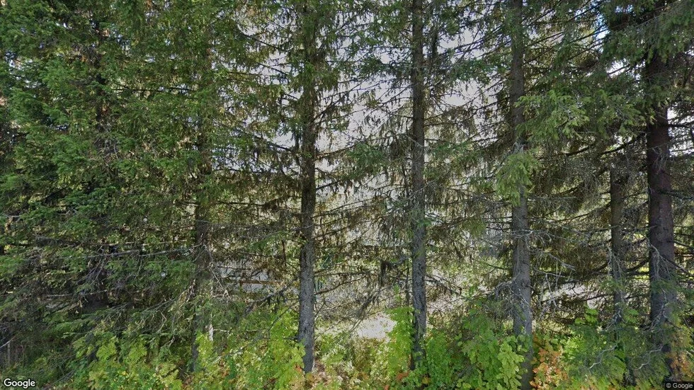 Erkheikki 35