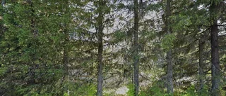 94 kvadratmeter stort hus i Pajala sålt till nya ägare
