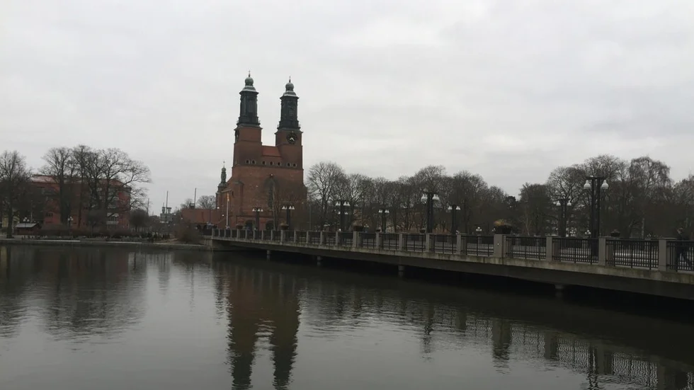 Nybron