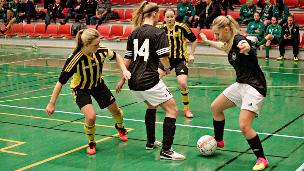 sormlandslaget1PA.jpg