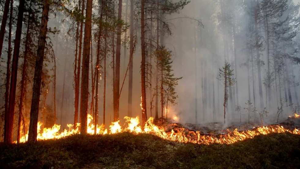 Under måndagen infördes eldningsförbud i hela östra och södra Sörmland.