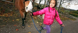 Massor med skoj för skollediga barn