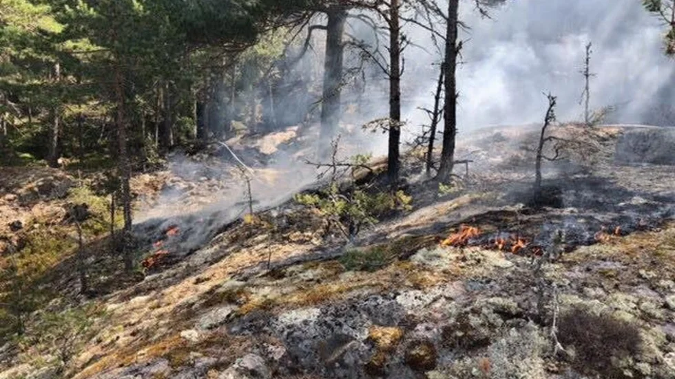 Det är otroligt torrt på platsen, uppger räddningstjänsten. Elden letar sig långt ner i marken.