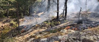 Skogsbrand över stort område utanför Gnesta: "Det är så otroligt torrt i markerna"