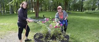 Blommor och plantor stjäls från begravningsplatsen: "Blir riktigt ledsen"