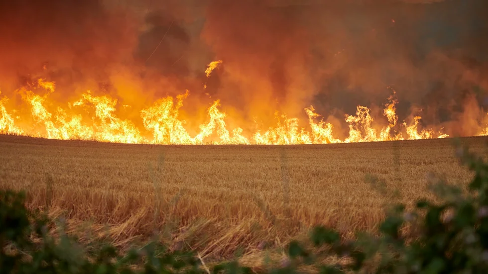 Ett fält i lågor i regionen Navarra i norra Spanien på lördagen. Arkivbild.