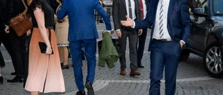 Ledare: SD är allt för heta på gröten