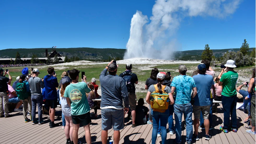 Turisterna är tillbaka i nationalparken Yellowstone.