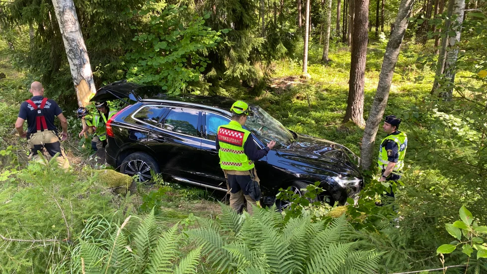 En bilist körde av okänd anledning över på fel sida vägen och ned i en slänt för att där kollidera med ett träd i närheten av djurparken.