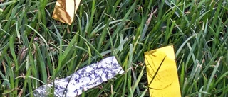 Insändare: En ljusnande framtid fylld av plastkonfetti