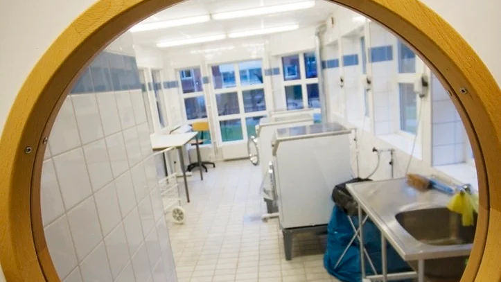 Starkt doftande tvättmedel borde inte vara tillåtna i gemensamma tvätt­stugor, tycker insändarskribenten.  FOTO: ANDREAS SKOGH