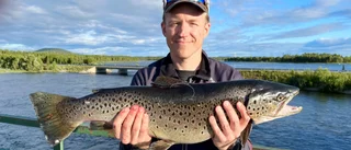 David fick storöring – men hur står det till med fisket i A-strömmarna?