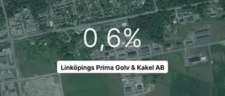 Linköpingsföretaget omsatte 40 miljoner – ökade med 11 procent