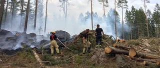 Skogsbrand utanför Sköldinge