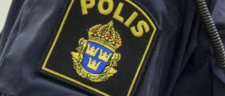 Polisen söker vittnen efter nytt hundplågeri