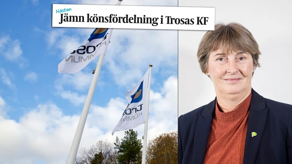 Maria Arman, gruppledare Miljöpartiet.