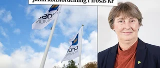 Maria Arman (MP): ”Vill se fler kvinnor i Trosapolitiken”
