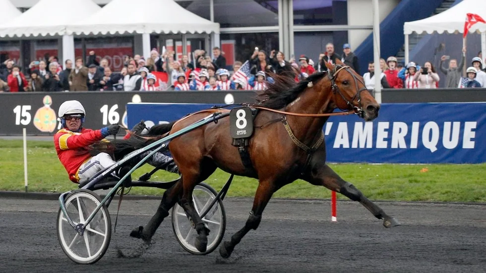 Readly Express med Björn Goop kunde inte försvara fjolårets seger i Prix d'Amerique och slutade på tredje plats.