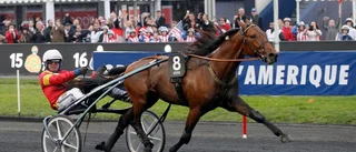 Hemmaseger i Prix d’Amerique – Stjärnhovshäst blev trea