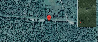Singelolycka på väg 559