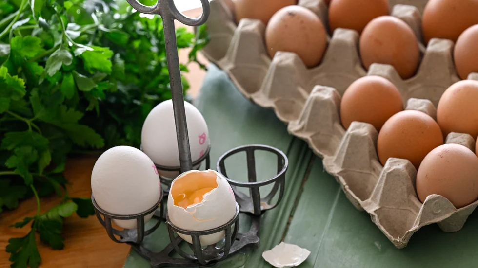 Axfood, Lidl och Ica återkallar ägg. Arkivbild.