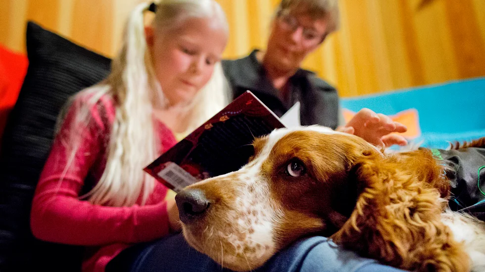 Språket kan vara nyckeln för att klara skolan och bryta utanförskapets onda cirkel, skriver signaturen "Mamma", som håller med insändarskribenten "Mormor" om vikten av biblioteket i Flen. 