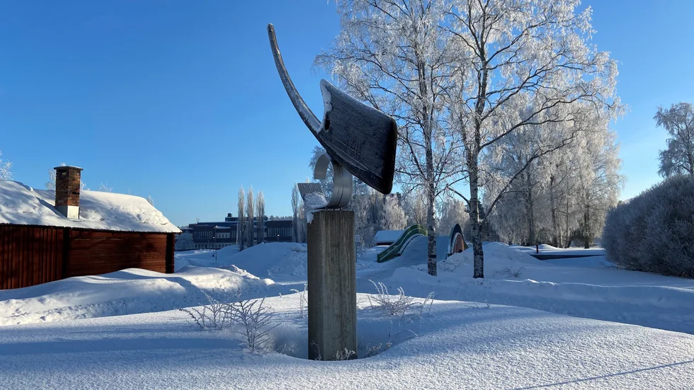 Dagens bild.