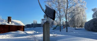 Dagens läsarbild: Toivo Lundmarks nätsticka
