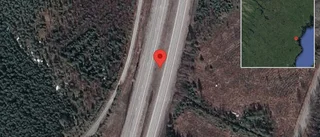 Varning för älg på vägen på E4
