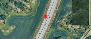 Varning för rådjur på vägen på E4