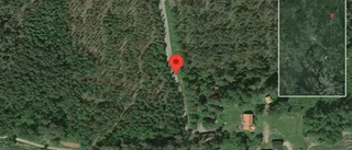 Problem i trafiken efter nedfallna träd på väg 685