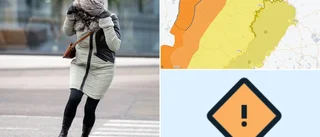 Storm på ingång: "Rejält blåsigt väder i norra Sverige"