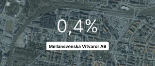 Så gick det för Mellansvenska Vitvaror AB senaste året