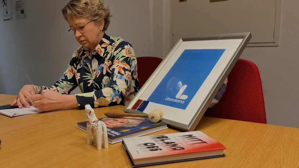 Det är bråda dagar för Liberalerna och dess gruppledare Monica Holtstad.