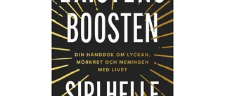 Existensboosten : Din handbok om lyckan, mörkret och meningen med livet 