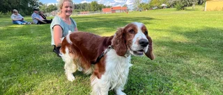 (Hund)ratals tävlade i Gamleby