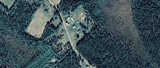 Ägarbyte för tomten på Lehonmäki 55 i Tärendö