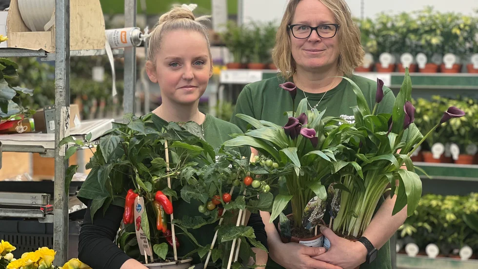  Hanna Torsek och Pillan Jonsson på Blomsterlandet ser fram emot torsdagens öppning.