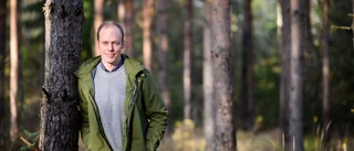 Träden i Hälleforsnäs är till viss del döda