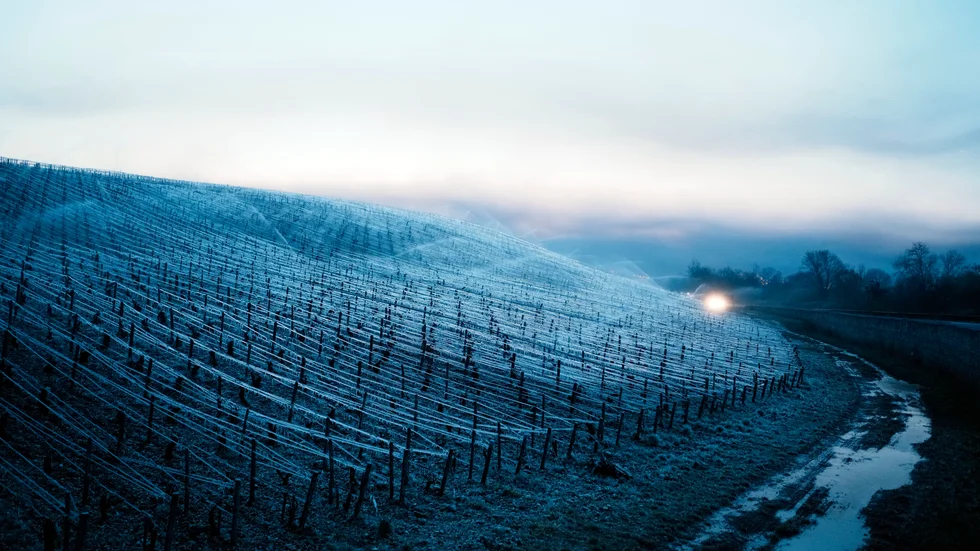 En hagelstorm har skapat förödelse i ett vindistrikt i Chablis. Området är särskilt utsatt av ett allt tuffare klimat. Bilden är från april 2022 då vinodlare fick ta till särskilda åtgärder för att skydda rankorna från frost.
